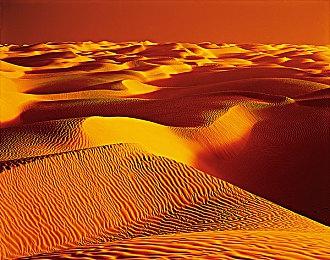 《霍格沃茨之遗》配音演员透露游戏角色的各种死法